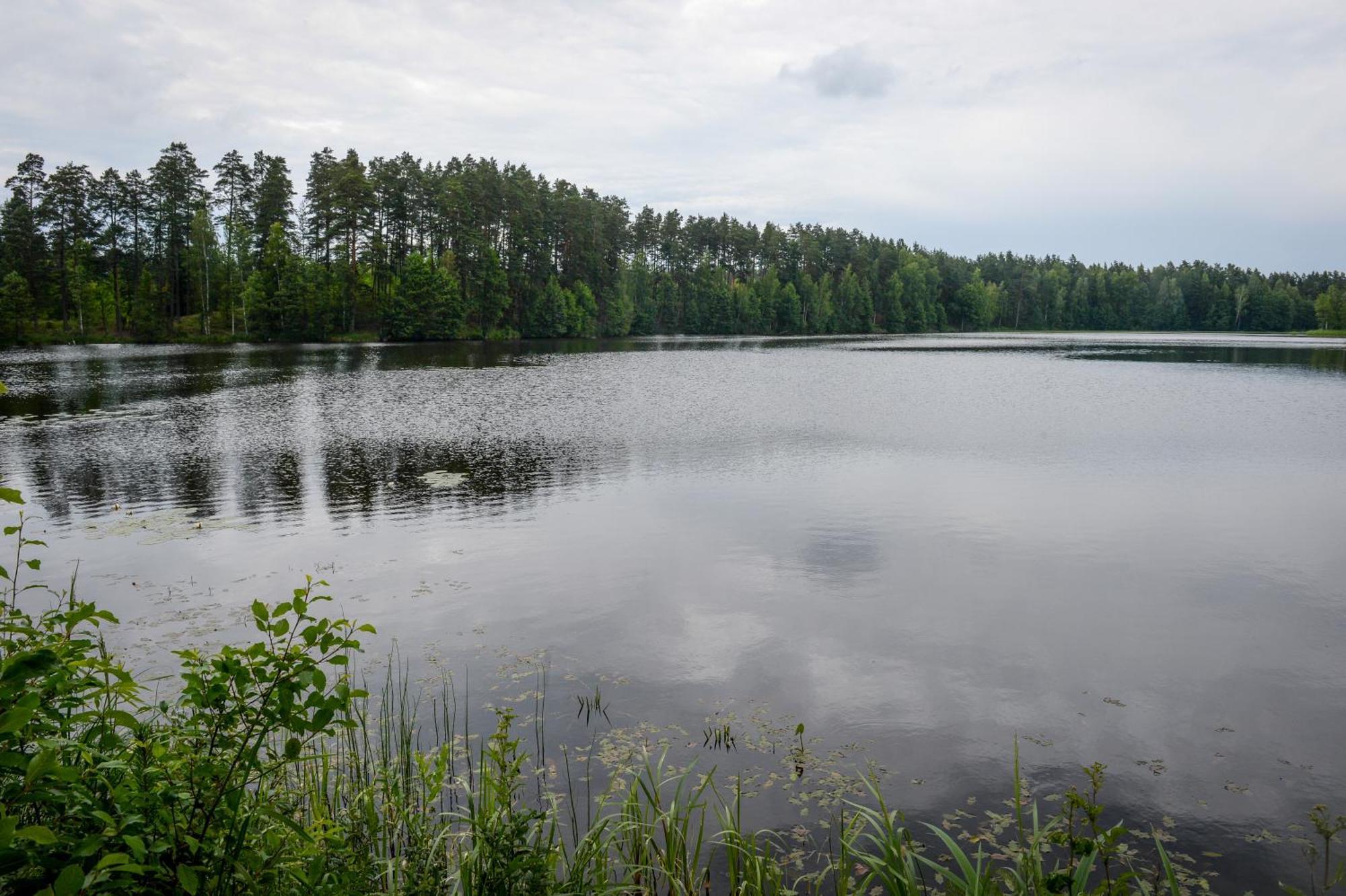 Alberta Dīķi Upesciems Zimmer foto